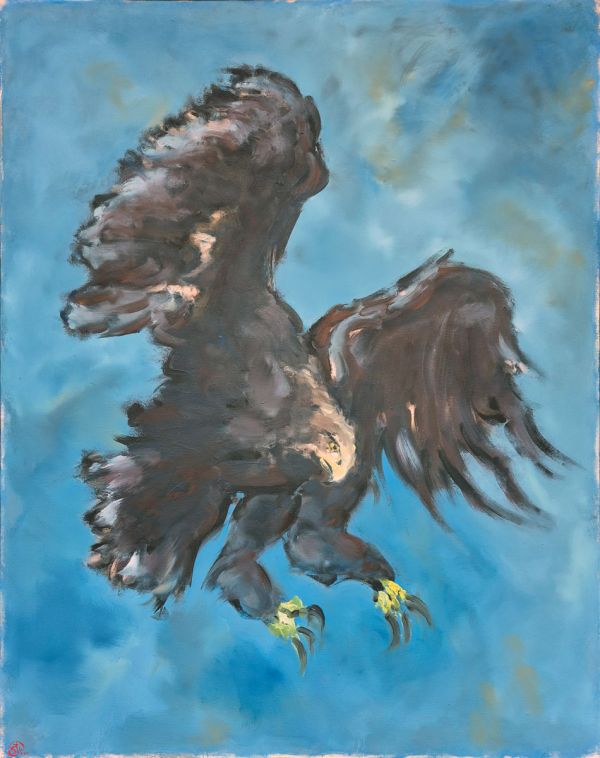 Adler - Steffen Wriecz